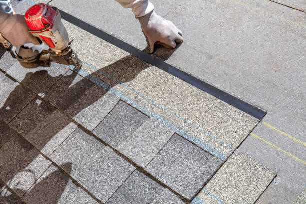 Best Roof Gutter Cleaning  in Bensenvle, IL